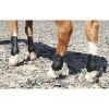 Afbeelding van Harry's Horse Peesbeschermers Percy Air navy- cob