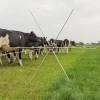 Afbeelding van Gallagher Rasterspin (5)
