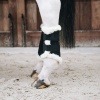 Afbeelding van Kentucky Allround beschermers Air' Black- Full