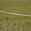 Afbeelding van Gallagher Cord verbinder (4)