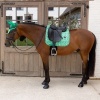 Afbeelding van Kentucky Zadeldek velvet dressuur green/navy- Cob