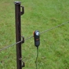 Afbeelding van Gallagher Afrasteringscontrole lampje
