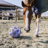 Afbeelding van Kentucky Relax Paardenspeeltje speel- en hooibal Lavender- Large
