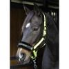 Afbeelding van Harry's Horse Halster Lyrics Quotes lime- cob