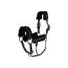 Afbeelding van BR Eevolv halster Jonne Raisin- Pony