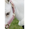 Afbeelding van Kentucky Velvet halster Old rose- Shetty