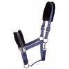 Afbeelding van Harry's Horse Halster Lyrics Quotes navy- pony