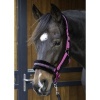 Afbeelding van Harry's Horse Halster Lyrics Quotes lila- full