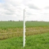Afbeelding van Gallagher Vario paal 1,00m wit (10)