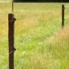 Afbeelding van Gallagher W-isolator Super zwart (25)