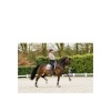 Afbeelding van ANKY® Pad Jubilee Dressage Crystal Rose- Full