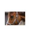 Afbeelding van ANKY® halster en lijn Stones Steel Grey- Pony