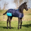 Afbeelding van Harry's Horse Veulendeken TwoTone 200gr zwart- 65