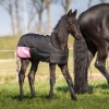 Afbeelding van Harry's Horse Veulendeken TwoTone 200gr navy- 65