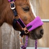 Afbeelding van Harry's Horse Halsterset LouLou Royce bright-violet- shetland