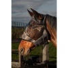 Afbeelding van Harry's Horse Vliegenmasker Flyshield zonder oren - xl