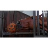 Afbeelding van Hay Slow Feeder Fun & Flex Oranje