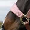 Afbeelding van Kentucky Velvet halster eenhoorn glitter Old rose- Cob
