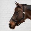 Afbeelding van Kentucky Halster nylon Black- Pony