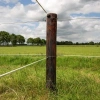 Afbeelding van Gallagher EquiFence Permanentkabel wit 7,5mm - 20kg - 250m