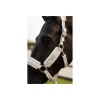 Afbeelding van BR halster Zamora Delicate Fur C-wear Silver Birch- Pony