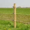 Afbeelding van Gallagher XDI schroef-ringisolator hout (125)