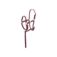 Premiere veulenhalster Brisk Rose Wine- Foal XS
