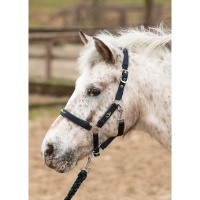 Harry's Horse Halsterset STOUT! Lime navy- pony