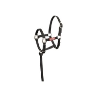 Premiere veulenhalster Brisk Zwart- Foal XS