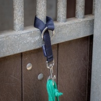 Harry's Horse Multi Hanger roze