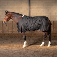 Harry's Horse Regendeken Thor 200 WI25 jet-black- 175cm