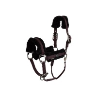 BR Eevolv halster Jonne Raisin- Full