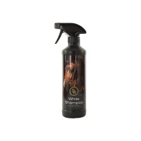 BR wit shampoo 500 ml VE6