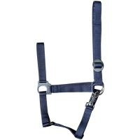 Harry's Horse Halster Economy rood-wit-blauw- shetland Harry's Horse Halster Economy rood-wit-blauw- shetland