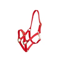 Premiere halster Rood- Pony