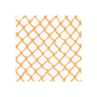 Premiere hooinet Oranje