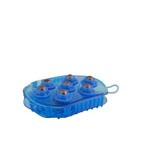 Premiere massageborstel Blauw