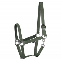 Harry's Horse Halster Economy STLT lime- cob