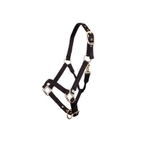 BR halster veulen Zwart- Foal