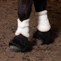 Harry's Horse Beenbeschermers Flextrainer Tiny Air wit- mini Harry's Horse Beenbeschermers Flextrainer Tiny Air wit- mini