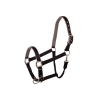 BR halster Event Zwart- Cob