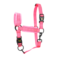 Excellent Superior Halster Roze L