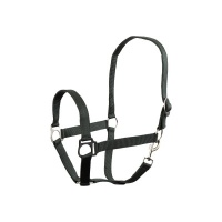 Premiere halster Soft Economic Green Gables- Pony