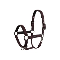 BR Eevolv halster Josh Raisin- Pony