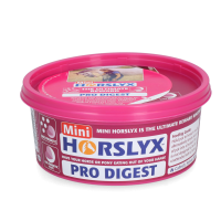 Horslyx Mini Spijsvertering