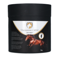 Excellent Horse Glucosamine + MSM 1 kg