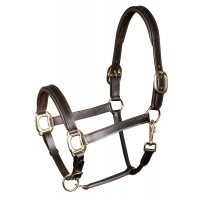 Harry's Horse Halster Leder Padded zwart- cob