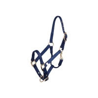 BR halster veulen Blauw- Foal