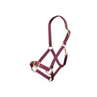 Premiere halster Bordeaux- Cob