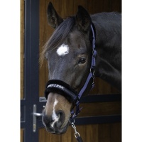 Harry's Horse Halster Lyrics Quotes navy- shetland Harry's Horse Halster Lyrics Quotes navy- shetland